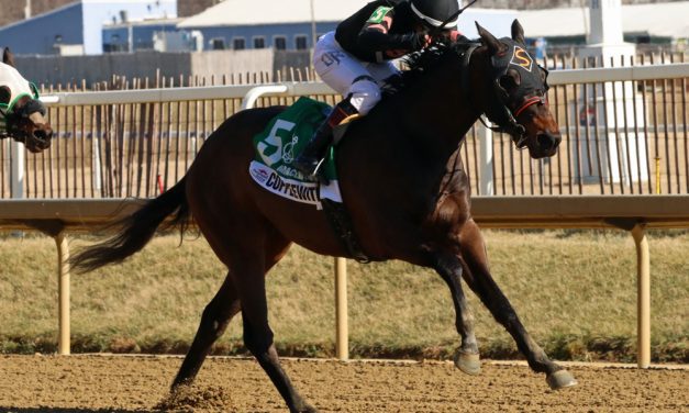 Midlantic-breds among late Triple Crown nominees