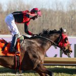 For riders, trainers, Avery Whisman ceremony kindles complex day