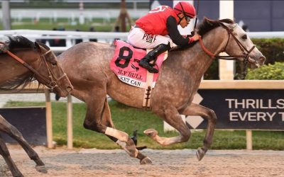 Triple Crown: Rocket Can wins Holy Bull