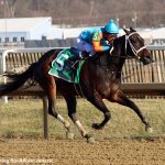 Mid-Atlantic Three Stars: November 20