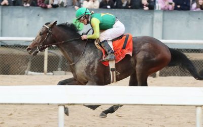 Triple Crown trail: Confidence Game takes Rebel