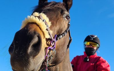 Photo Essay: Fritchie day in pictures