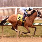 HISA, Jockeys’ Guild to support mental health