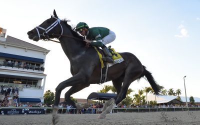 Forte cruises in Fountain of Youth, tops Derby leaderboard