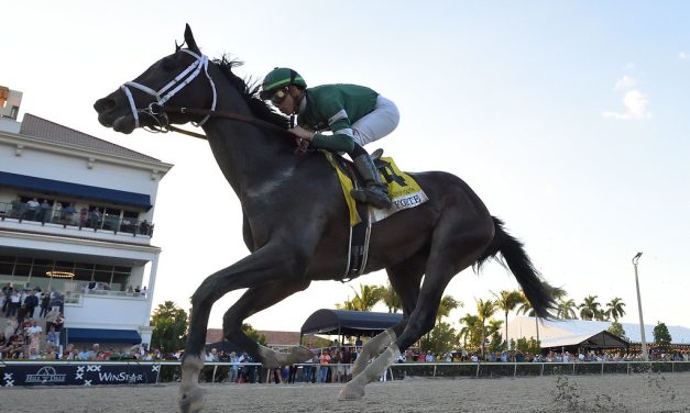 Champion Forte strong Florida Derby favorite