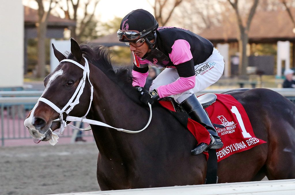 Ninetyprcentmaddie could try G2 Wood Memorial