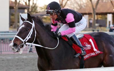 Ninetyprcentmaddie could try G2 Wood Memorial
