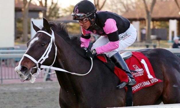 Ninetyprcentmaddie stars in Parx stakes; 3 on tap today