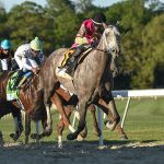Tapit Trice