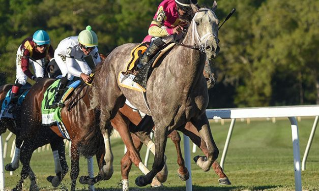 Tapit Trice rallies to Tampa Bay Derby win