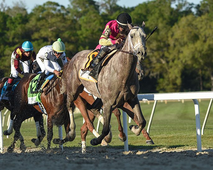 Tapit Trice rallies to Tampa Bay Derby win