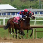 The best Federico Tesio Stakes winners are…