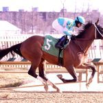 Doppelganger on target for start in G1 Met Mile