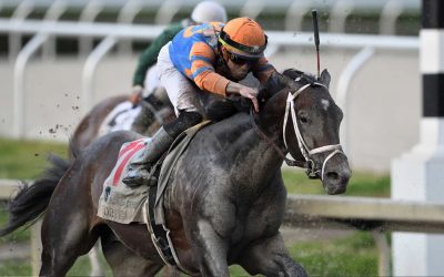 For Amy Moore, “amazing journey with Forte”