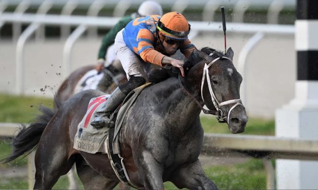 Forte installed as favorite for Preakness future wager