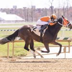 Busy Saturday on Off to the Races Radio