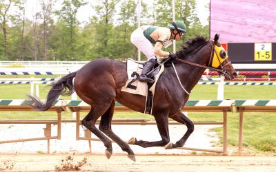 Handicapping Parx’s Pennsylvania Derby preview day