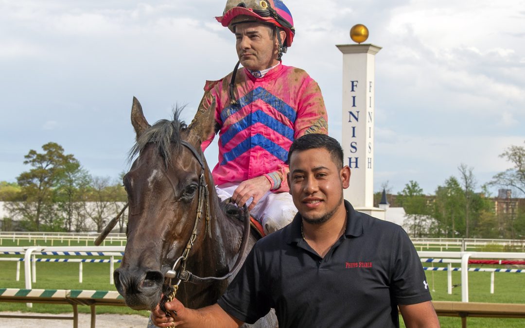 Preakness profile: Perform
