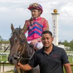 Preakness profile: National Treasure