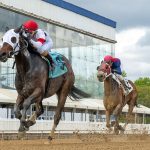 Preakness: Sovereignty a no-go