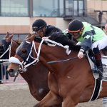 MTHA, MJC reach 11th-hour deal on way forward on Laurel track surface