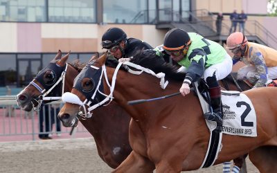Twisted Ride, Morning Matcha take Parx stakes