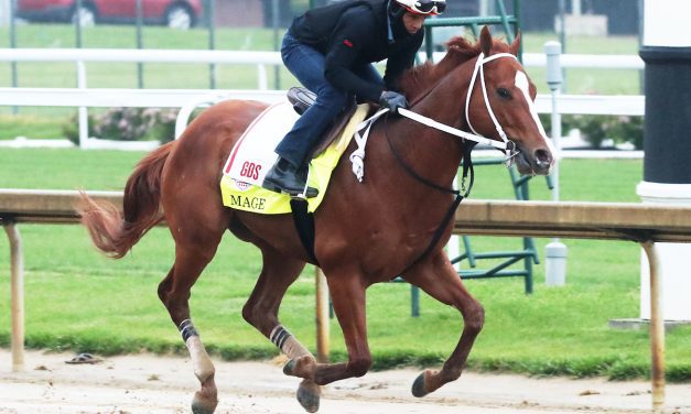 Mage, First Mission complete Preakness preparations