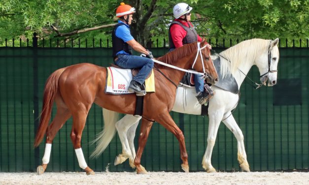 Favored Mage will leave from post three in Preakness