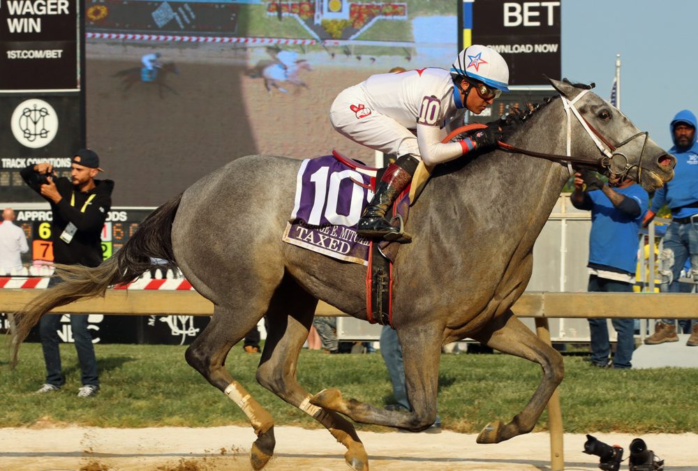 Taxed collects in Black-Eyed Susan win