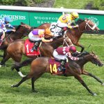 Fasig-Tipton adds supplemental entries to 2-year-old sale