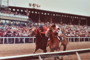 Affirmed-Alydar