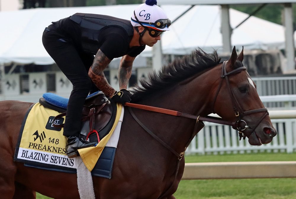 Experts’ Preakness and undercard picks