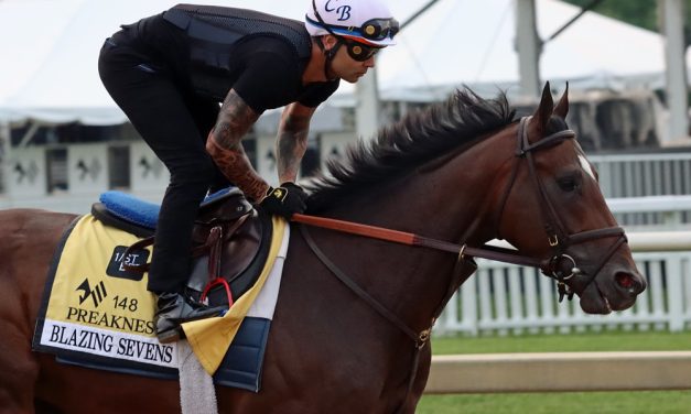 Preakness profile: Blazing Sevens