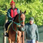 Experts’ Preakness and undercard picks