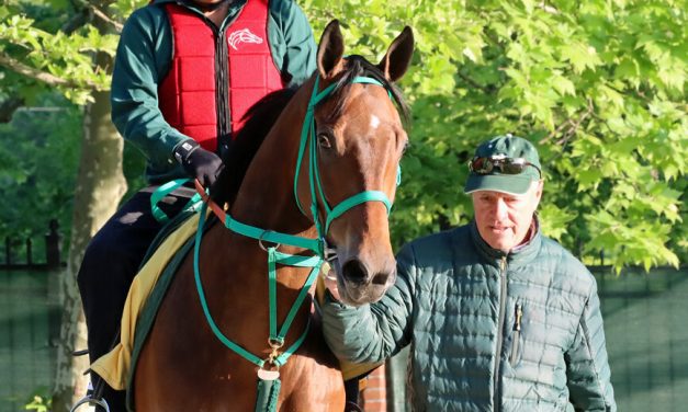 Preakness profile: Chase the Chaos