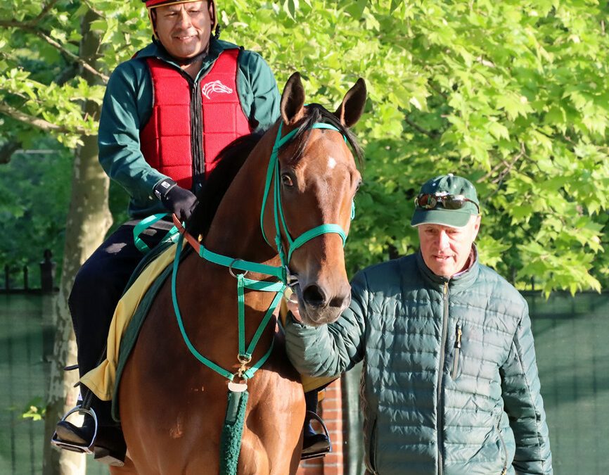 Preakness profile: Chase the Chaos