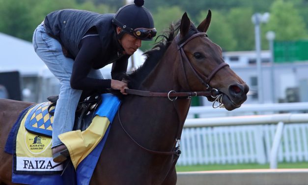 Faiza to put perfect mark on line in Black-Eyed Susan