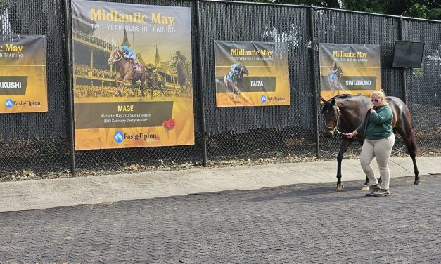 Fasig-Tipton Midlantic 2yo sale: By the numbers