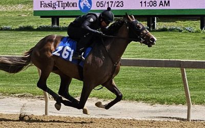 Fasig-Tipton alters 2-year-old sale protocol