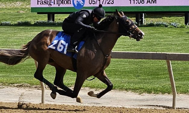 Fasig-Tipton 2yo sale: Day one shows gains