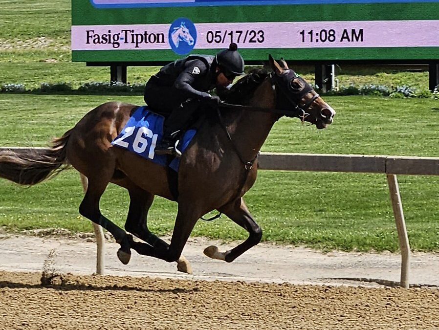 Fasig-Tipton alters 2-year-old sale protocol