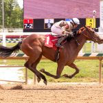 Early look at possible Preakness starters