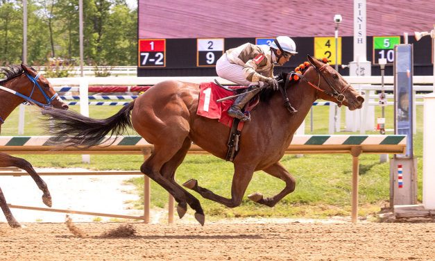 Salzman barn has clean sweep of Laurel juvenile races