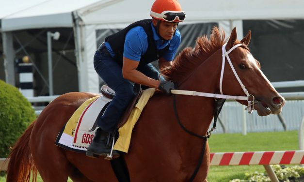 A not-quite-eventful day for Preakness fave Mage
