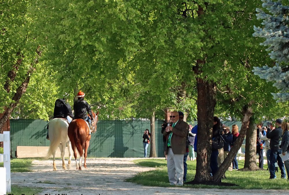 Muth tabbed as Preakness futures favorite