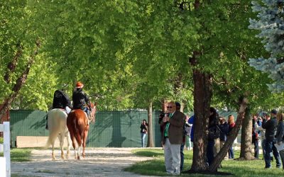 Muth tabbed as Preakness futures favorite