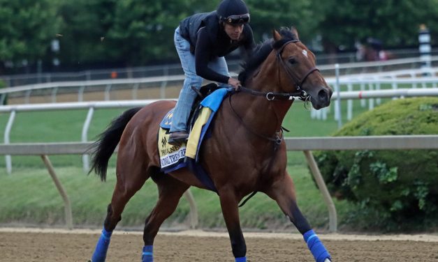 Preakness profile: National Treasure