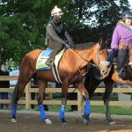 Kentucky Derby 2023: Horse by horse analysis