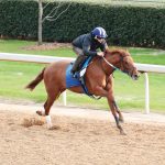 Preakness profile: Uncle Heavy