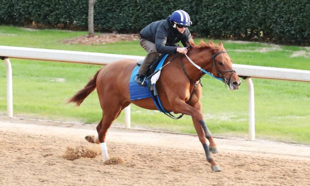 Preakness profile: Uncle Heavy